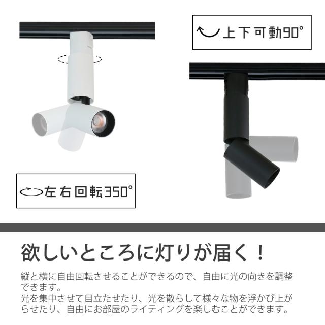 ダクトレール用スポットライト 昼白色 6000K 2個 スポットライト
