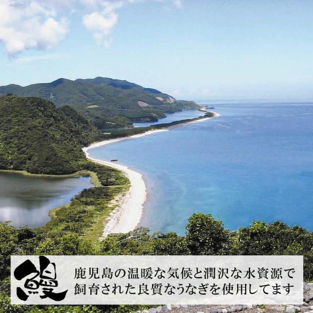 【送料無料】特大 鹿児島県産うなぎ(3尾＋１切身)蒲焼セット（永谷園お吸い物付）【プレーリードッグファーム】_3