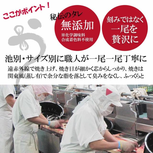 【送料無料】特大 鹿児島県産うなぎ(3尾＋１切身)蒲焼セット（永谷園お吸い物付）【プレーリードッグファーム】_6