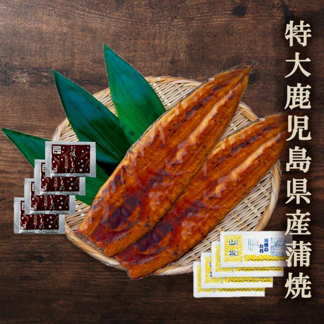 【送料無料】特大 鹿児島県産うなぎ(2尾)蒲焼セット（永谷園お吸い物付）【プレーリードッグファーム】