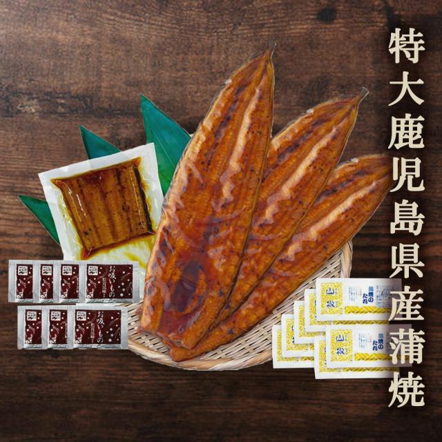 【送料無料】特大 鹿児島県産うなぎ(3尾＋１切身)蒲焼セット（永谷園お吸い物付）【プレーリードッグファーム】
