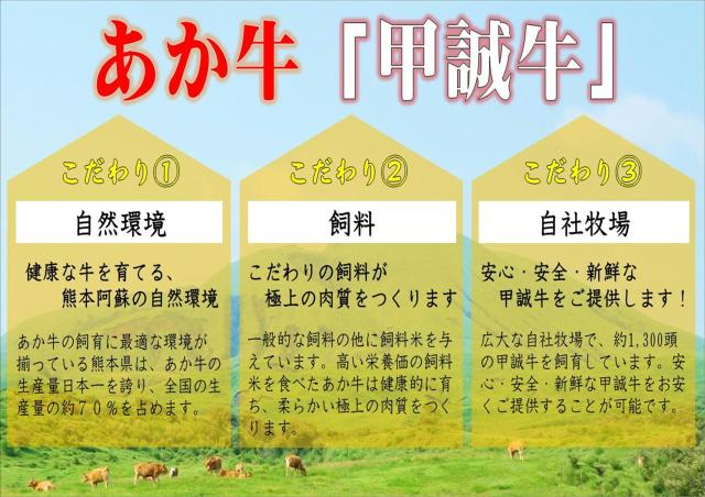【貨物輸送無料】あか牛サーロインビフテキ（200g×2）■赤牛 褐牛 あかうし 赤身肉 褐毛和種 阿蘇 肥後  サーロインビフテキ 食料雑貨類 お取り寄せ 食い道楽■贈りもの 差し上げ物 差し上げる品 差し上げ物 差し上げ物にも■（※北海道・沖縄は送りとどける料要）