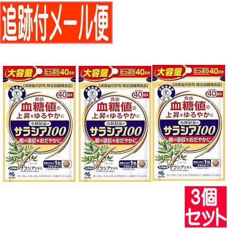 【3個セット】サラシア１００（１２０粒入）小林製薬サプリ【メール便送料無料/3個セット】