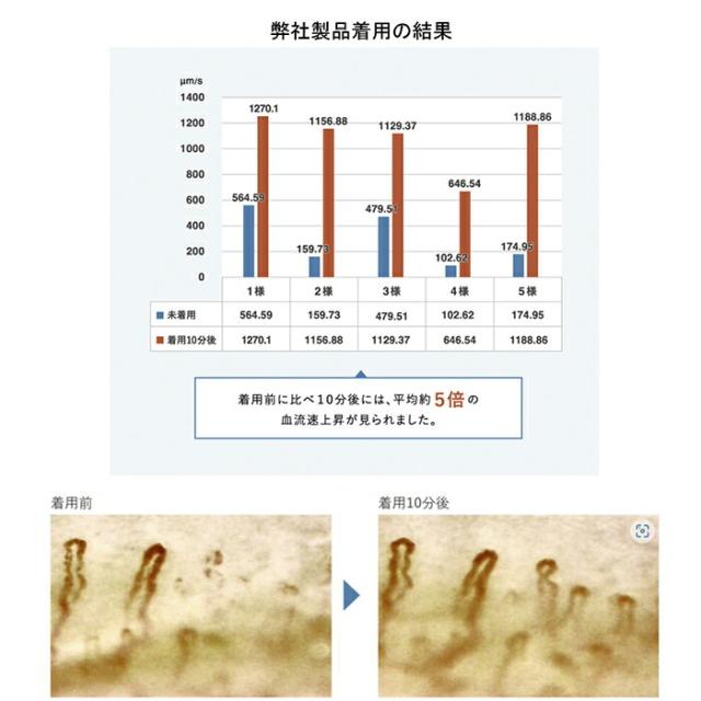 adjust アジャスト プラウシオン 正規品 インナーウェア 長袖 レディース 女性 一般医療機器 肌着 ブラック グレージュ ラベンダー M/L 日本製の通販は