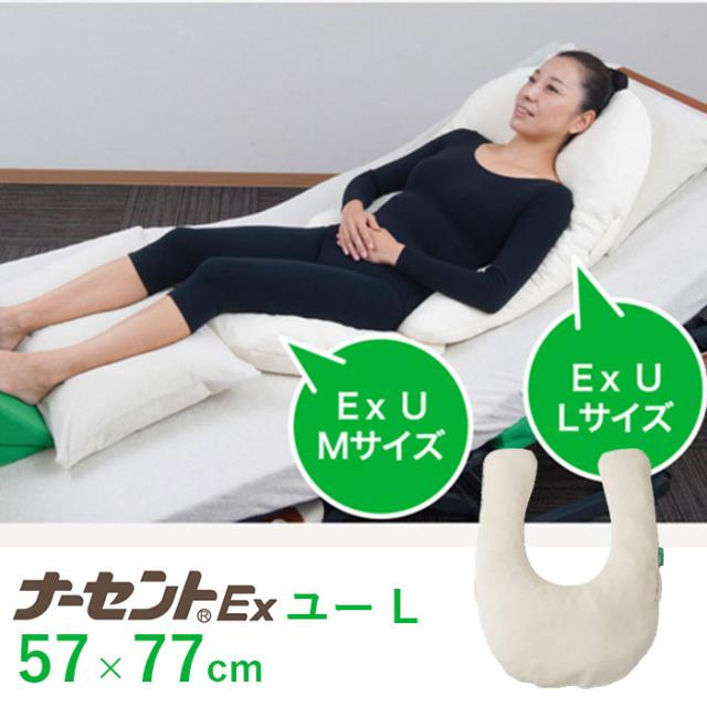 ピーチシリーズ モルテン ラージ ポジショニングピロークッション 2つ