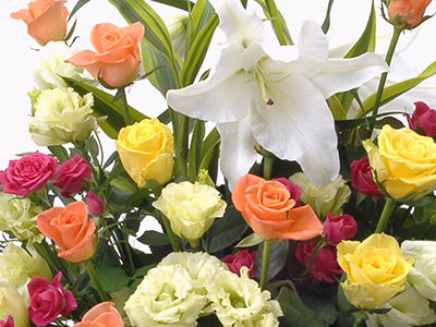 スペシャルタイム フラワーギフト アレンジ 誕生日 記念日 プレゼント 白ユリと黄色いオンシジウムがポイントのアレンジの通販は