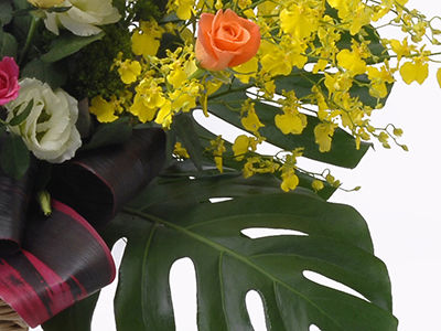 スペシャルタイム フラワーギフト アレンジ 誕生日 記念日 プレゼント 白ユリと黄色いオンシジウムがポイントのアレンジの通販は