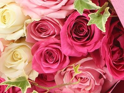 スタイリッシュローズ&選べるケーキ 誕生日 記念日 フラワーギフト