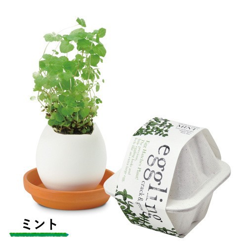 栽培キット 発芽保障 Eggling Eco Friendly ミント パセリ バジル サボテン カクタス ストロベリー ラベンダー 香草 栽培セット 聖新陶芸の通販はau Pay マーケット Plus Comfort