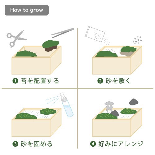 苔盆 苔栽培セット 発芽保障 栽培キット 和風庭園 グリーン スナゴケ 家庭菜園 聖新陶芸の通販はau Pay マーケット Plus Comfort