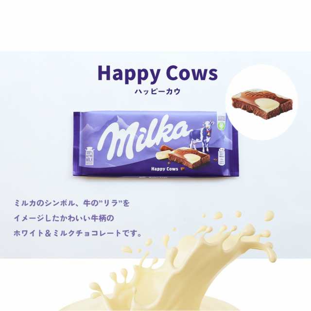 4種から選べる 2個セットチョコレート 100g×2 ｜クリックポスト