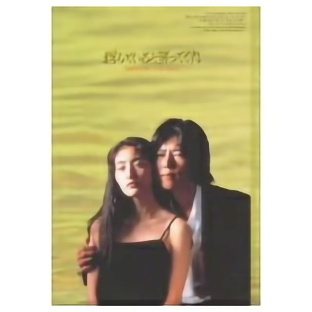 愛していると言ってくれ　DVD