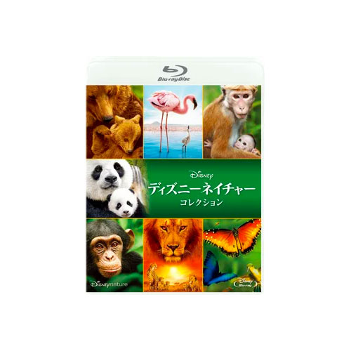 YUKI／すてきな15才《完全生産限定盤》 (初回限定) 【CD+DVD】