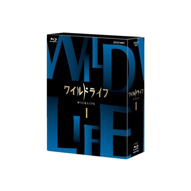 【ケース無しで割引】キッズ・ウォー5～ざけんなよ～ 全9巻 レンタル落ち Amazon.co.jp: キッズ・ウォー 5 ざけんなよ レンタル落ちセット