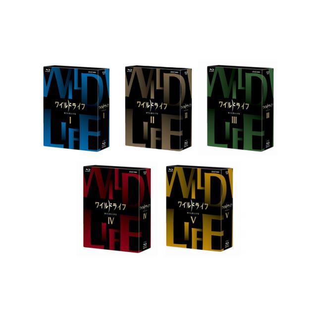 Elementary Series [DVD] [Import](中古品)