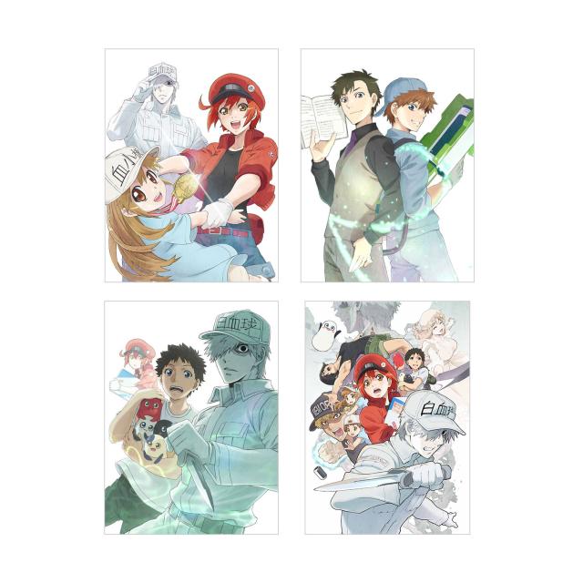 はたらく細胞DVDセット 1～4巻セット はたらく細胞 BLACK DVD ブラック