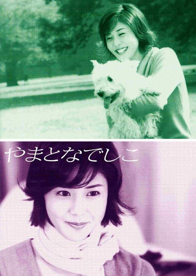 松嶋菜々子 やまとなでしこ DVD-BOX