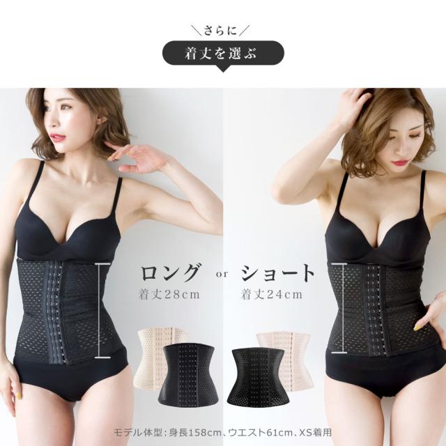ダートフリーク(Dirtfreak) UNIT ディスプレイスタンド D6509(旧