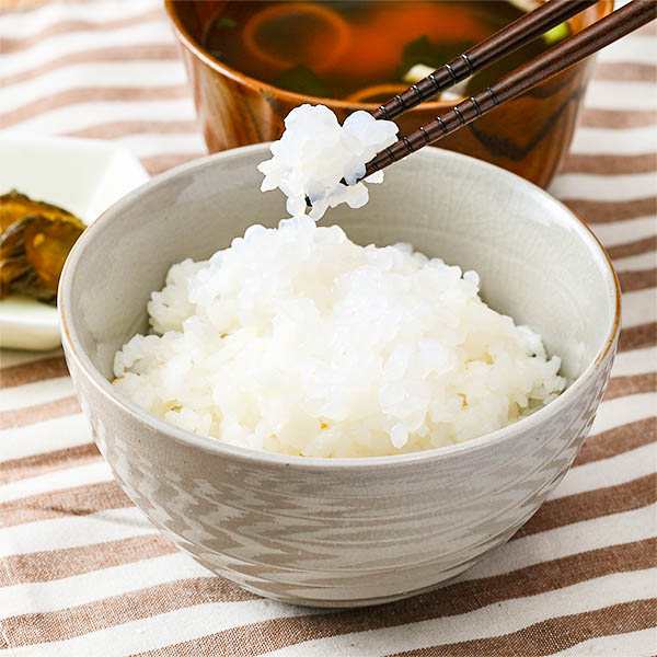 こんにゃくパーク 当店人気商品お試しセット こんにゃく麺 こんにゃく