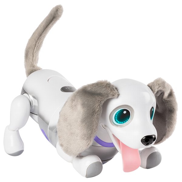 タカラトミー オムニボット Hello Zoomer ハロー ズーマー ミニチュアダックス ホワイト ステイホーム おうち時間 自宅遊び ストレス緩の通販はau Pay マーケット トキワカメラ タカラトミー オムニボット Hello Zoomer ハロー ズーマー ミニチュアダックス ホワイト ステイホーム おうち時間 自宅遊び ストレス緩の通販はau Pay マーケット トキワカメラ