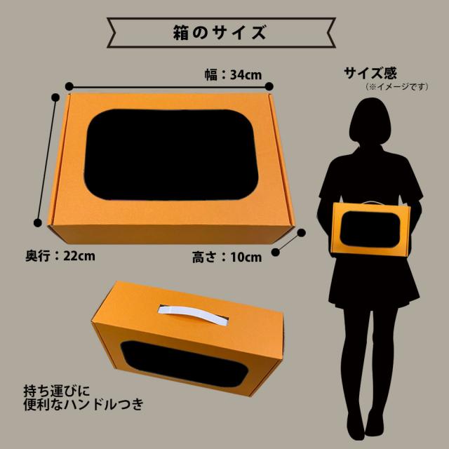 【ギフト チェキB】富士フィルム（フジフィルム）インスタントカメラ　チェキ リプレイ LiPlay C ブロンズ instax mini LiPLay BRONZE カメラケース付き ギフトBOXセット INS LIPLAY C
