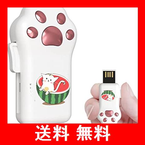 Usbメモリ64gb 猫の足可 いスイカ 小さな 防水防塵 Usbフラッシュメモリ2 0メモリスティックストラップ穴のデザインで小型かわいい動物の通販はau Pay マーケット ベストプライス百貨店