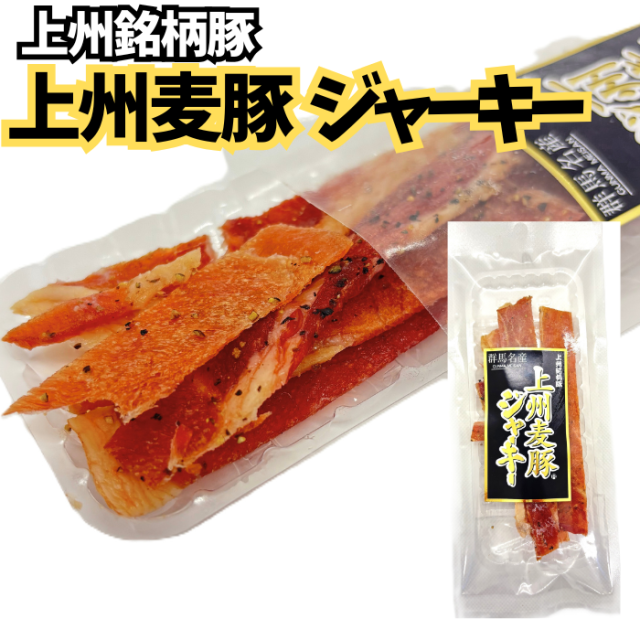 ビートたけしの学問ノススメ 全4巻 レンタル落ちDVD 小林亜星 柄本明 ビートたけしの学問ノススメ 全4巻 レンタル落ちDVD 小林亜星