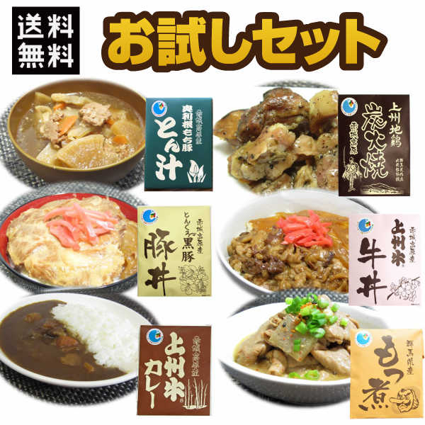 群馬銘柄肉レトルトお試し6種６品セット レトルト食品 セット 詰合せ 群馬 ご当地グルメ 牛丼 豚丼 とん汁 カレー もつ煮 地鶏炭火焼 送料無料 宅配便 贈り物 食べ比べ 和風総菜 惣菜