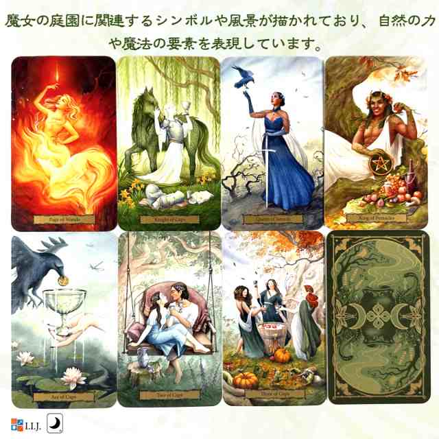 ☆ タロット V Tarot V タロット占い解説書付き 782