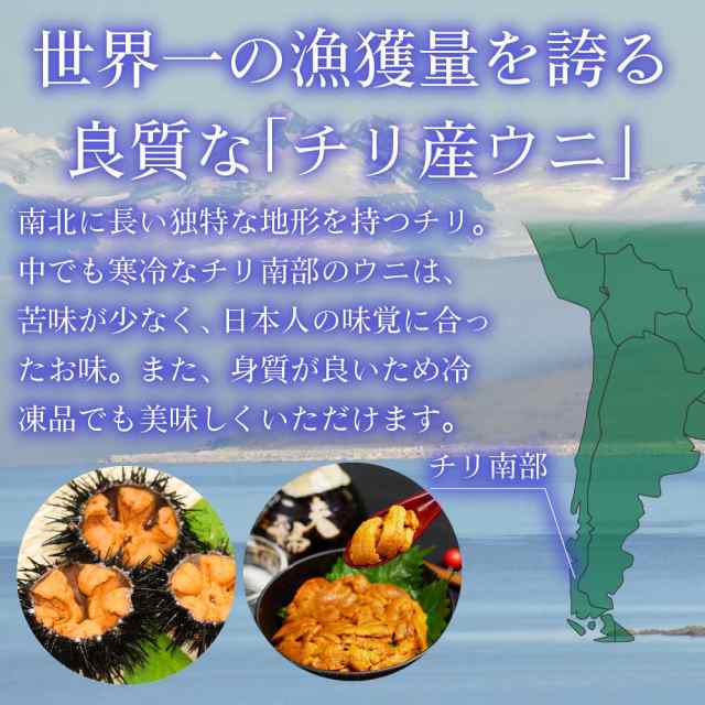 生うに 100g チリ産 無添加 みょうばん不使用 お刺身用 ウニ うに 雲丹 冷凍 お取り寄せグルメ 食品 ギフト お歳暮 御歳暮の通販はau  PAY マーケット - 北海道お土産ギフト岡田商店