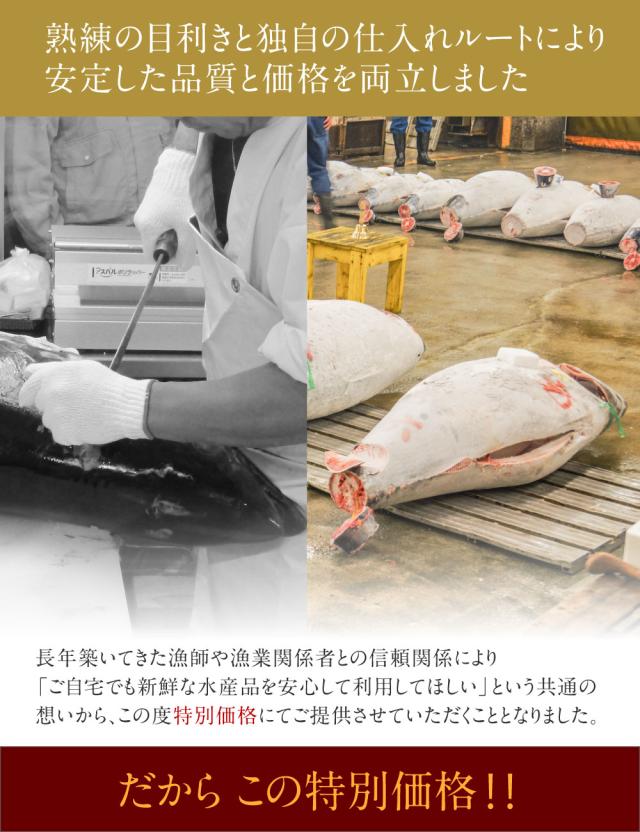 送料無料 高級本マグロ赤身 約200g x 2柵 まぐろ 鮪 赤身 刺身 寿司 握りご飯のお供 つまみ ギフト 海鮮 訳あり 場外市場 グルメ お取り寄せ バレンタイン ホワイトデーの通販は