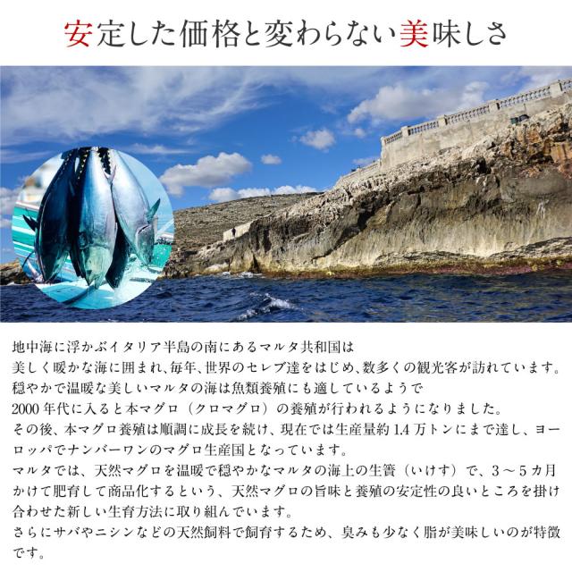 送料無料 高級本マグロ赤身 約200g x 2柵 まぐろ 鮪 赤身 刺身 寿司 握りご飯のお供 つまみ ギフト 海鮮 訳あり 場外市場 グルメ お取り寄せ バレンタイン ホワイトデーの通販は