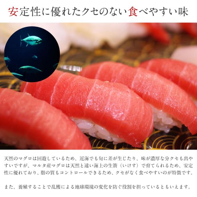 送料無料 高級本マグロ赤身 約200g x 2柵 まぐろ 鮪 赤身 刺身 寿司 握りご飯のお供 つまみ ギフト 海鮮 訳あり 場外市場 グルメ お取り寄せ バレンタイン ホワイトデーの通販は