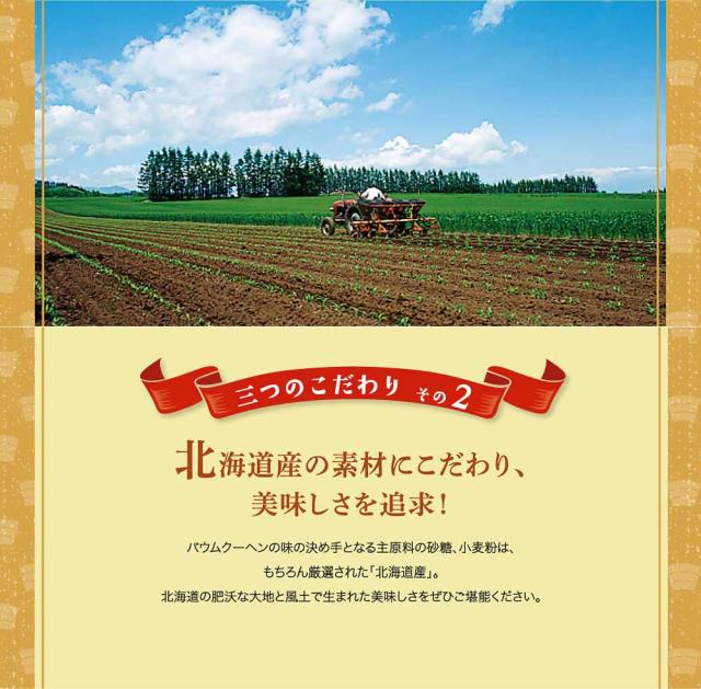 柳月 三方六 プレーン 1本x10個セット 送料無料 北海道限定 バウムクーヘン バームクーヘン ギフト 帯広 父の日 ギフト 人気_4