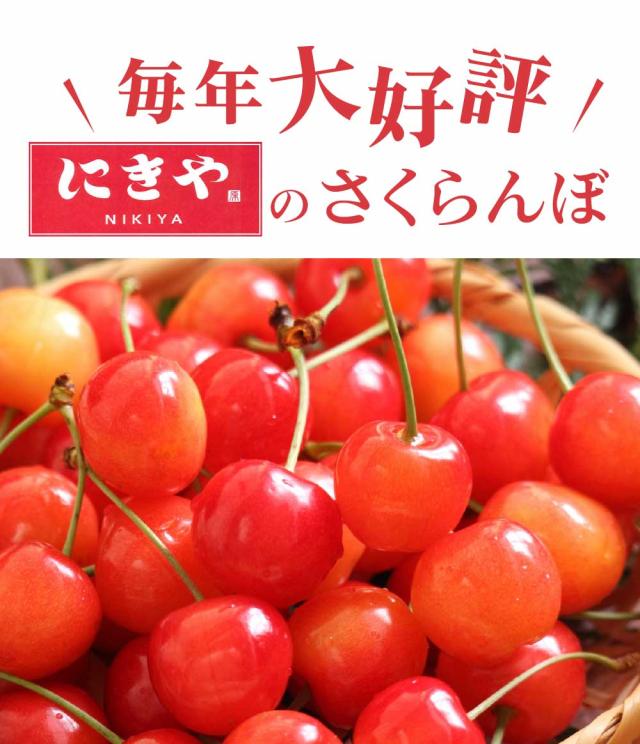 さくらんぼ 北海道 【出どころ直送・取って置く売りわたす】仁木産 佐藤錦 秀品 L〜2L 1kg 専用箱入 桜んぼう 北海道産 フルーツ 差し上げ物 差し上げ物 父の日 お中元 暑中顔出し 差し上げる用 一般受け 手ぬるい 御膳上等 余市 ニキヤ 貨物輸送無料 果物 夏差し上げ物 お取り寄せ 食い道楽 真っ赤珠玉 かざり付ける箱入り口・入口 差し上げ物