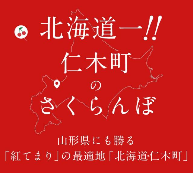 さくらんぼ 北海道 【出どころ直送・取って置く売りわたす】仁木産 佐藤錦 秀品 L〜2L 1kg 専用箱入 桜んぼう 北海道産 フルーツ 差し上げ物 差し上げ物 父の日 お中元 暑中顔出し 差し上げる用 一般受け 手ぬるい 御膳上等 余市 ニキヤ 貨物輸送無料 果物 夏差し上げ物 お取り寄せ 食い道楽 真っ赤珠玉 かざり付ける箱入り口・入口 差し上げ物