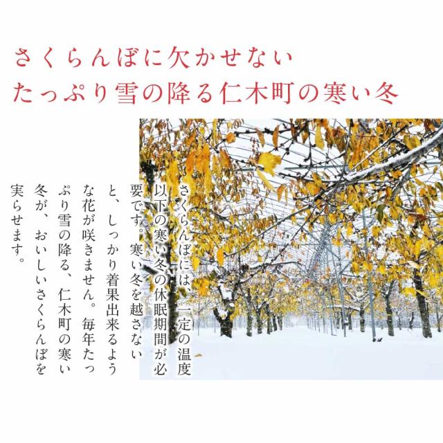 さくらんぼ 北海道 【出どころ直送・取って置く売りわたす】仁木産 佐藤錦 秀品 L〜2L 1kg 専用箱入 桜んぼう 北海道産 フルーツ 差し上げ物 差し上げ物 父の日 お中元 暑中顔出し 差し上げる用 一般受け 手ぬるい 御膳上等 余市 ニキヤ 貨物輸送無料 果物 夏差し上げ物 お取り寄せ 食い道楽 真っ赤珠玉 かざり付ける箱入り口・入口 差し上げ物