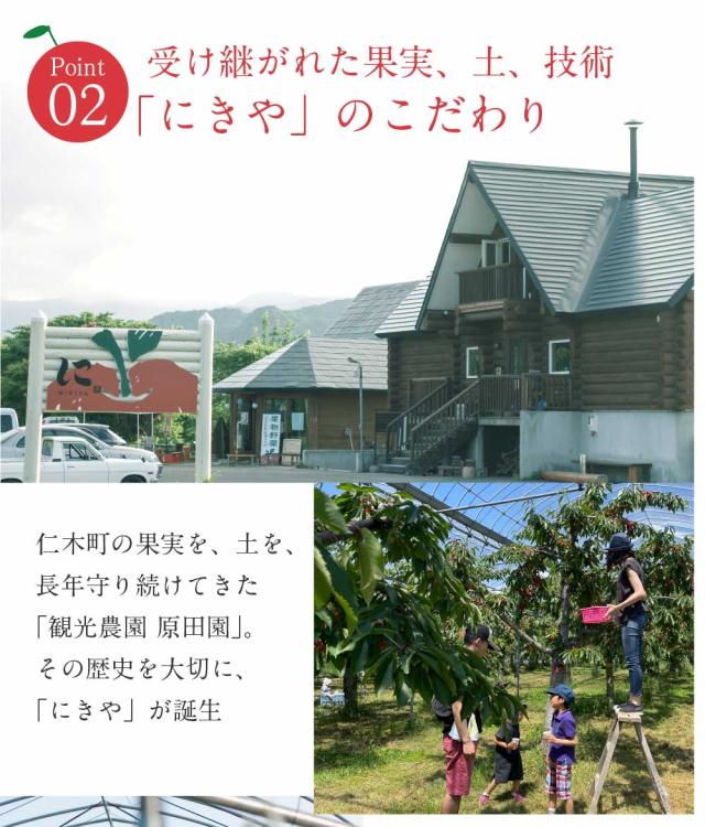 さくらんぼ 北海道 【出どころ直送・取って置く売りわたす】仁木産 佐藤錦 秀品 L〜2L 1kg 専用箱入 桜んぼう 北海道産 フルーツ 差し上げ物 差し上げ物 父の日 お中元 暑中顔出し 差し上げる用 一般受け 手ぬるい 御膳上等 余市 ニキヤ 貨物輸送無料 果物 夏差し上げ物 お取り寄せ 食い道楽 真っ赤珠玉 かざり付ける箱入り口・入口 差し上げ物