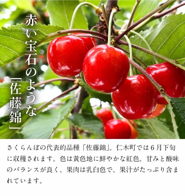 さくらんぼ 北海道 【出どころ直送・取って置く売りわたす】仁木産 佐藤錦 秀品 L〜2L 1kg 専用箱入 桜んぼう 北海道産 フルーツ 差し上げ物 差し上げ物 父の日 お中元 暑中顔出し 差し上げる用 一般受け 手ぬるい 御膳上等 余市 ニキヤ 貨物輸送無料 果物 夏差し上げ物 お取り寄せ 食い道楽 真っ赤珠玉 かざり付ける箱入り口・入口 差し上げ物