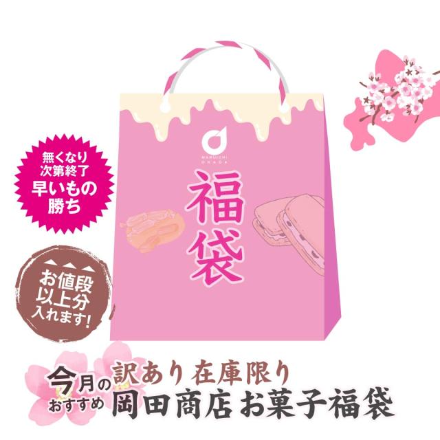 北海道 お菓子 福袋 2026 店長おまかせ 詰め合わせ 送料無料 訳あり スイーツセット 焼き菓子 銘菓 お楽しみ袋 食品ロス応援 復興福袋 在庫処分 お得 大容量 大量セット ギフト 父の日 お中元 お歳暮 お取り寄せ 北海道銘菓 ご当地 お土産 人気 ランキング セール