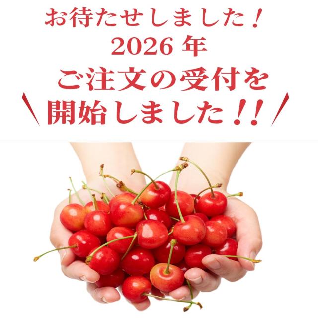 さくらんぼ 北海道 【出どころ直送・取って置く売りわたす】仁木産 佐藤錦 秀品 L〜2L 1kg 専用箱入 桜んぼう 北海道産 フルーツ 差し上げ物 差し上げ物 父の日 お中元 暑中顔出し 差し上げる用 一般受け 手ぬるい 御膳上等 余市 ニキヤ 貨物輸送無料 果物 夏差し上げ物 お取り寄せ 食い道楽 真っ赤珠玉 かざり付ける箱入り口・入口 差し上げ物