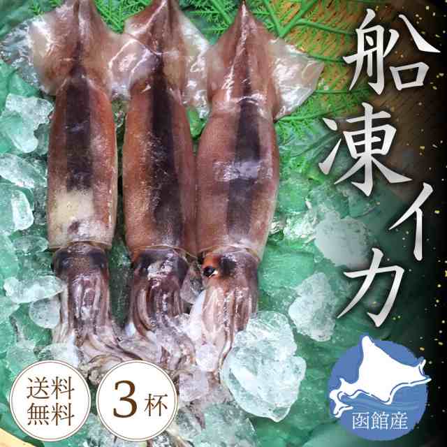 遅れてごめんね 母の日 函館産 船凍イカ 3杯 合計約900g 刺身用 送料無料 いか お刺身 冷凍イカ スルメイカ 生 塩辛 札幌中央卸売市場 海の通販はau Pay マーケット 北海道お土産ギフト岡田商店