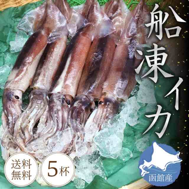 函館産 船凍イカ 5杯 合計約1 5kg 刺身用 送料無料 いか お刺身 冷凍イカ スルメイカ 札幌中央卸売市場 生 塩辛 海鮮丼 q お中元 御中の通販はau Pay マーケット 北海道お土産ギフト岡田商店