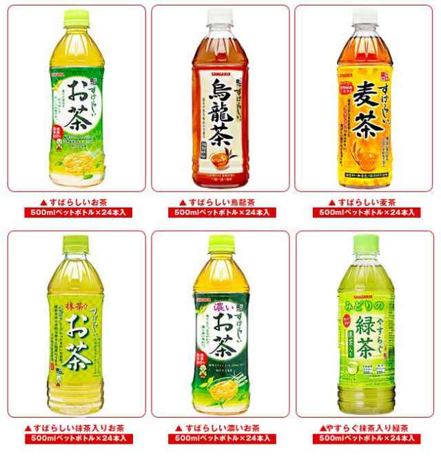 AL完売しました。 送料無料 500ml×24本入×2ケース サンガリア すばらしい