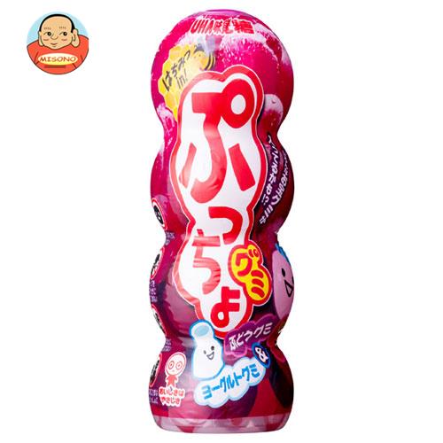UHA味覚糖 ぷっちょ グレープ 76本セット 0000000001452_e2Kyxhu.jpg
