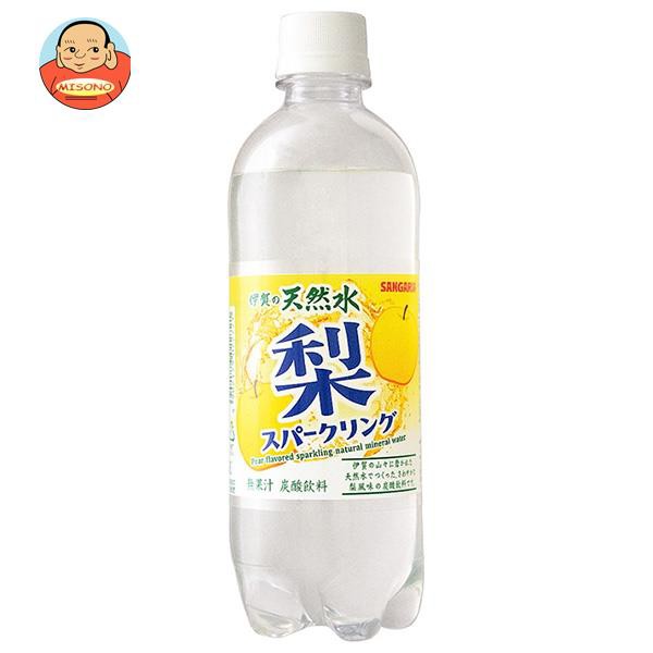 サンガリア 伊賀の天然水 強炭酸水 1000ml 1Lペットボトル×12本入 2