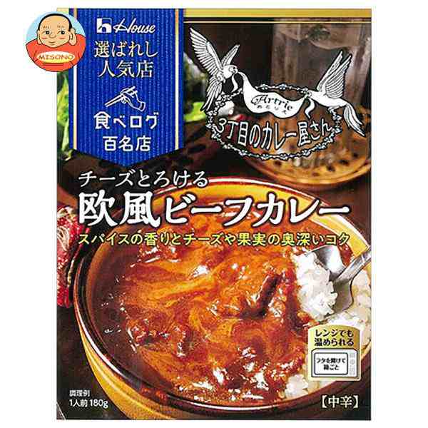 ハチ食品 メガ盛りカレー チーズ 300g×20個入×(2ケース)