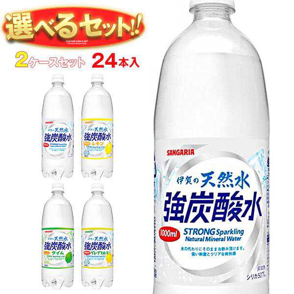 ふるさと納税 サンガリア伊賀の天然水 強炭酸水（1リットル×2ケース