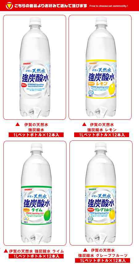 ふるさと納税 サンガリア伊賀の天然水 強炭酸水（1リットル×2ケース