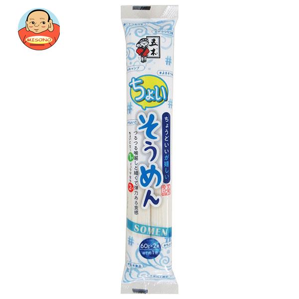 五木食品 ちょいそうめん 120g×30袋入×(2ケース)｜ 送料無料の通販は 6,728円